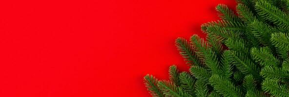 Top view Banner of green fir tree branches on colorful background. New year holiday concept with empty space for your design photo