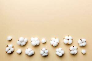 Autumn Floral Flat lay background composition. Dried white fluffy cotton flower branchwith green leaf top view on colored table with copy space photo