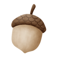 höst vattenfärg illustration av brun ekollon png