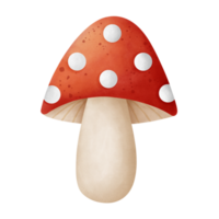 Autumn watercolor illustration of a red mushroom png