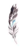 plume aquarelle isolé png