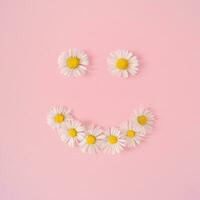 Smiley made of summer daisy flowers on pastel pink background. Minimal creative composition. Flat lay concept. Top of view. photo