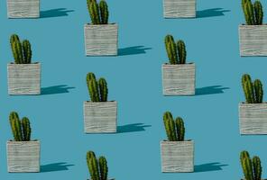 Trendy cactus pattern on bright blue background. Summer minimal concept. Creative cactus idea. photo