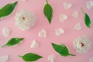 Trendy pattern made of roses and petals on pastel pink background. Minimal flat lay style. Flowers aesthetic. photo