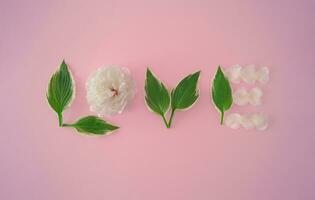 Love made of white flowers and petals on bright pink background. Love concept. Flat lay. Flowers aesthetic. photo