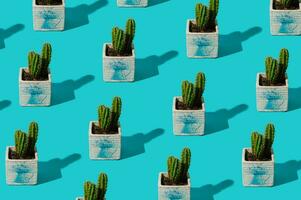 Trendy cactus pattern on bright blue background. Summer minimal concept. Creative cactus idea. photo