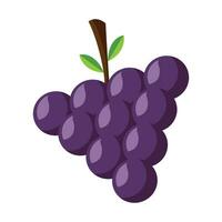 Vector grapes flat design vector illustration isolated on a white background