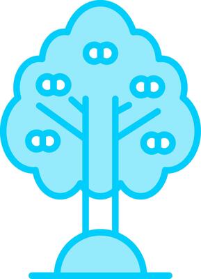 Apricot Vector Icon