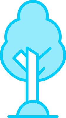 Birch Vector Icon