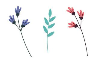 Vector hand drawn spring flower collection