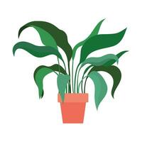 vector hogar planta. en conserva planta aislado en blanco