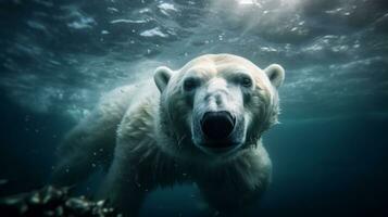 an arctic polar bear as it dives in the sea, Generative AI photo
