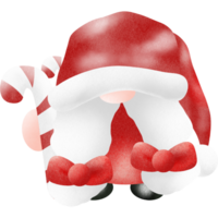 encantador navidad gnomo png