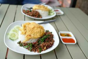 Beef basil, omelet in a plate photo