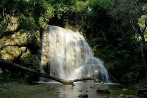 Falan correa cascada, phu Pha hombre nacional parque n / A nong thum subdistrito, amigo fae distrito, khon Kaen provincia, Tailandia foto