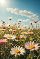 Field of daisies on a background of blue sky with clouds, AI Generative photo