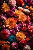 Colorful autumn chrysanthemum flowers as a background. AI Generative photo