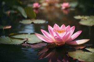 Pink water lily in the pond with green leaves and reflection. AI Generative photo