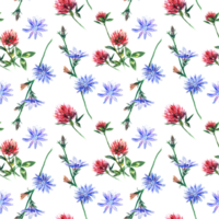 Sprigs of chicory and clover. Watercolor pattern illustration. Design element for greeting cards, invitations, wrapping paper, textiles, covers. png