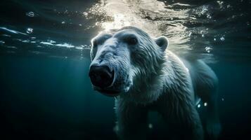 an arctic polar bear as it dives in the sea, Generative AI photo