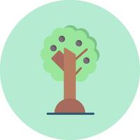 aceituna árbol vector icono