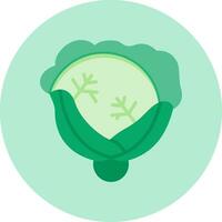 Cabbage Vector Icon