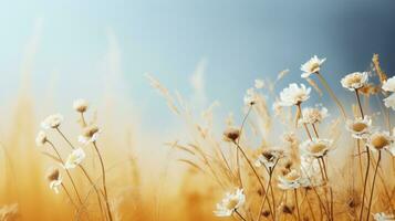 wild meadow flowers with copy space photo