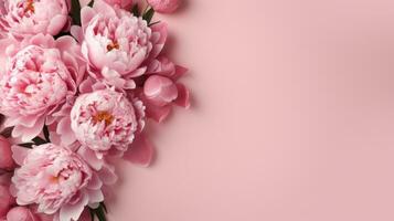 peony flowers with copy space photo