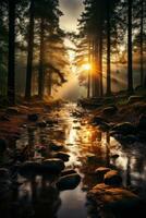 Moody forest landscape with light beams filtering through trees photo