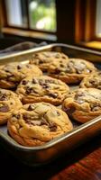 delicioso chocolate chip galletas Fresco desde el horno en un bandeja foto