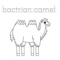 Trace the letters and color cartoon bactrian camel. Handwriting practice for kids. vector