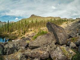 Huge granite boulders are scattered randomly. Western Sayans kurumnik, stones, cobblestones, moss with a unique landscape. Landscape photography of stone river photo