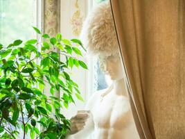 Bright authentic home interior. Plaster bust behind the curtain by the window, indoor plants. Home landscaping, urban jungle, biophilic design. Selective focus, close-up. photo