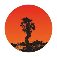 a silhouette of a palm tree in the middle of a red sky vector