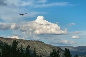 Huge white cloud in blue sky over giant green mountain with forest in sunny day. Scenic landscape with high mountain in shadow of cloud. Bird in the sky is flying against a cloud background. photo