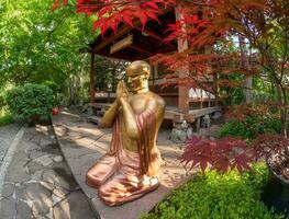 A bronze Buddha statue in a Japanese garden in a meditative pose under red maple leaves. photo