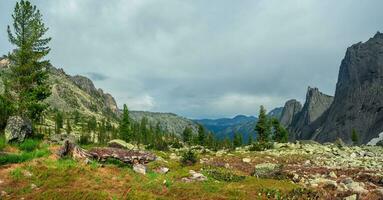 Panorama of a sunny mountain glade in the Western Sayans. Bright flowers in a meadow among ancient boulders covered with moss on the background of mountains under a cloudy sky in changeable weather. photo