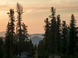 cedro montañas a amanecer. atmosférico paisaje con siluetas de bosque montañas en antecedentes de brillante amanecer cielo. vistoso naturaleza paisaje con puesta de sol o amanecer. puesta del sol en descolorido tonos foto