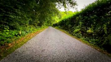 Herbst Fahrt durch heiter Wald Fahrbahn video