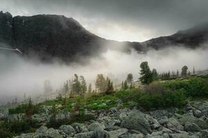 Low clouds in a mountain valley. A rocky hill with cedars in the morning mist. The sun barely peeks out from behind the clouds. Harsh Siberian nature. Western Sayans. photo