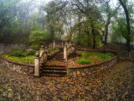 Soft focus. Beautiful old stone staircase in the misty park of Zheleznovodsk. Old stone staircase in the autumn misty park. Stairs up. photo
