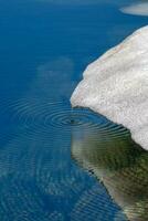 Vertical view of round drops of water on the surface of a crystal mountain lake from the melting of a glacier. Water droplets fall on the surface of the water and splashing. Desktop laptop wallpaper. photo