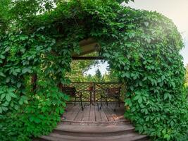 Vine grapes, wooden gazebo entwined with vine grapes. Arbor entwined vine grapes. A table and two armchairs in a summer house on a wooden pedestal. photo