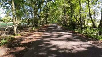 höst kör genom lugn landsbygden vägar video