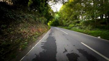 Herbst Fahrt durch heiter Wald Fahrbahn video