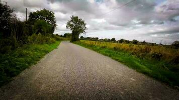 autunno guidare attraverso sereno foresta corsia video