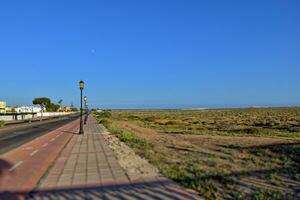 wide asphalt road on the Spanish Canary Island Fuerteventura with palm trees photo