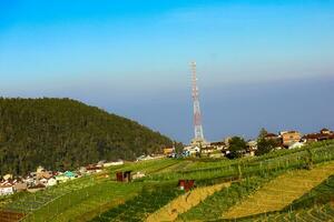 Rice fields in the mountains with a terasiring system photo