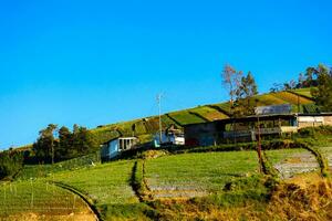 arroz campos en el montañas con un terrasando sistema foto