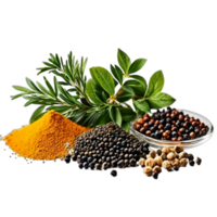 Spice Ingredients transparent background AI Generative png